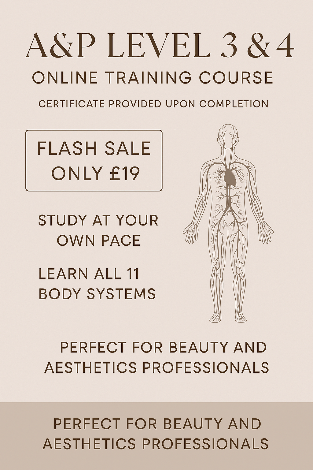 Anatomy & Physiology Level 3&4