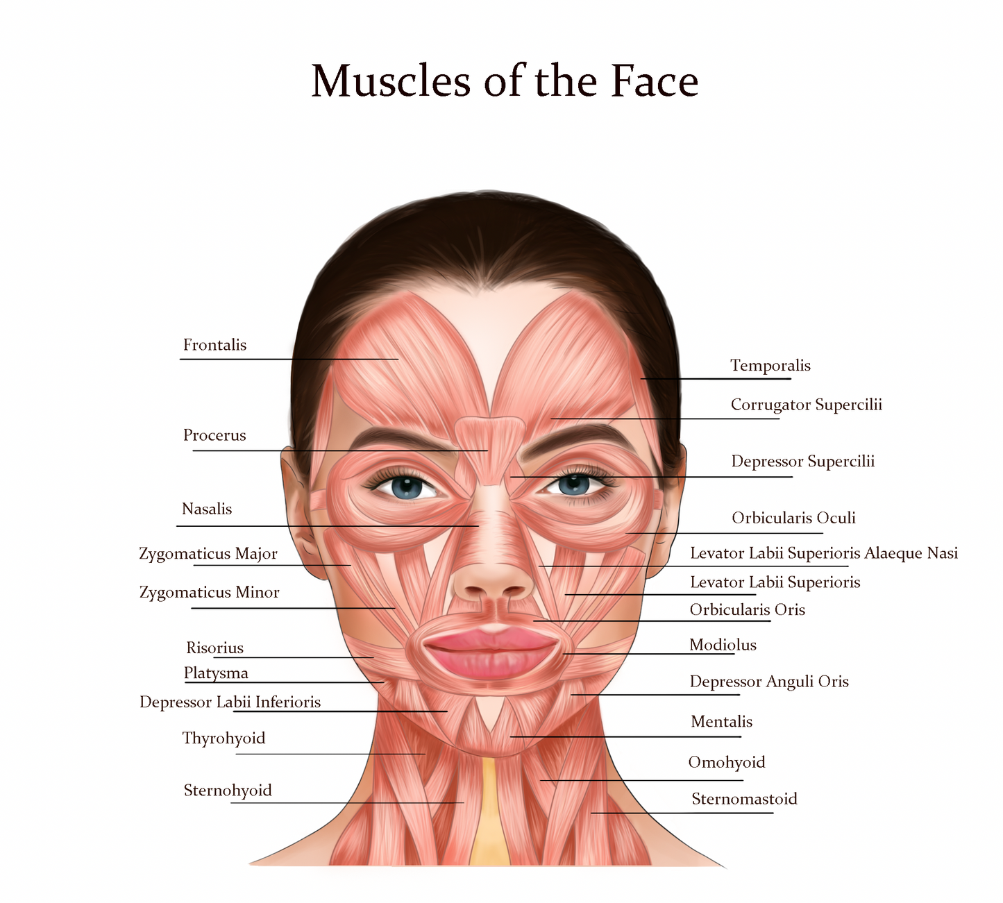 Foundation Anti Wrinkle Training 25th & 26TH September