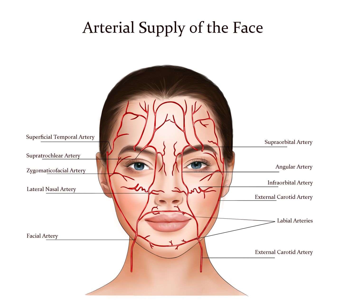 Foundation Anti Wrinkle Training 25th & 26TH September