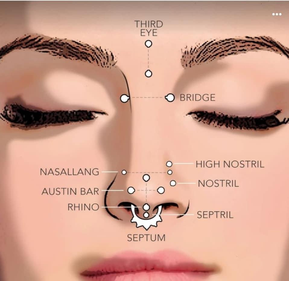 FREE DOCUMENT.BODY PIERCING POSTERS .EDIT THEM ACCORDINGLY