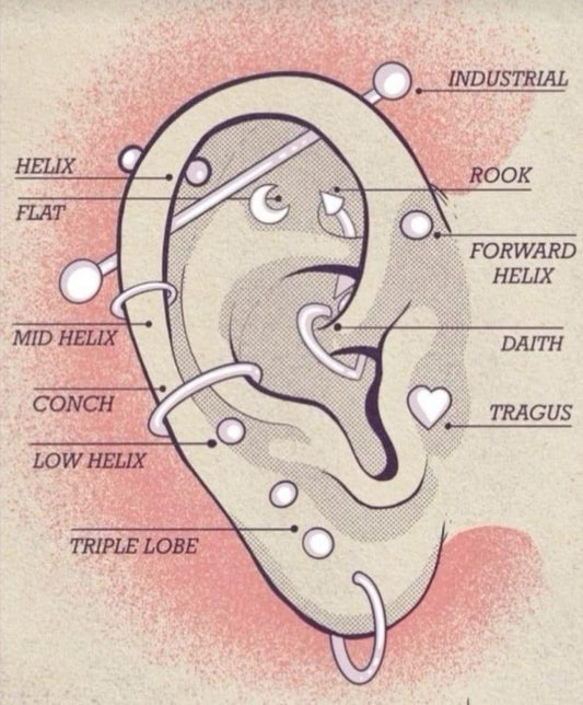 FREE DOCUMENT.BODY PIERCING POSTERS .EDIT THEM ACCORDINGLY