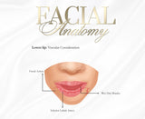 FREE DOCUMENT. FACIAL /LIP ANATOMY POSTERS x 6 . EDIT THEM ACCORDINGLY