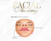 FREE DOCUMENT. FACIAL /LIP ANATOMY POSTERS x 6 . EDIT THEM ACCORDINGLY