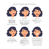 FREE DOCUMENT BROW HEALING JOURNEY POSTER-FOR MICROBLADING/SEMI PERMANENT BROWS