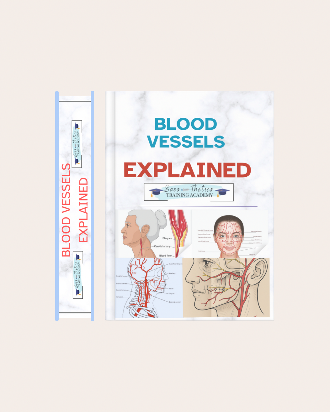 IMMEDIATE DOWNLOAD . Dermal Filler Complications -EXPLAINED IN LAYMAN'S TERMS . 48 Page Manual written in easy to undestand context .