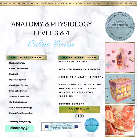 ANATOMY  & PHYSIOLOGY Level 3 -ONLINE COURSE