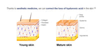 Aesthetics training Aesthetics training courses Aesthetics training courseblackpool Aesthetics training courses north-west Aesthetics training courses Uk Aesthetics training courses England botoxtraining botoxtrainingcourses botoxtrainingtrainingcourse botoxtrainingcourseblackpool botoxtrainingnorthwest  dermal filler training  dermal filler training courses  dermal filler training course north-west  dermal filler training Blackpool skinboostertraining skinboostertraining ourse skinboostertrainingcourse Bla